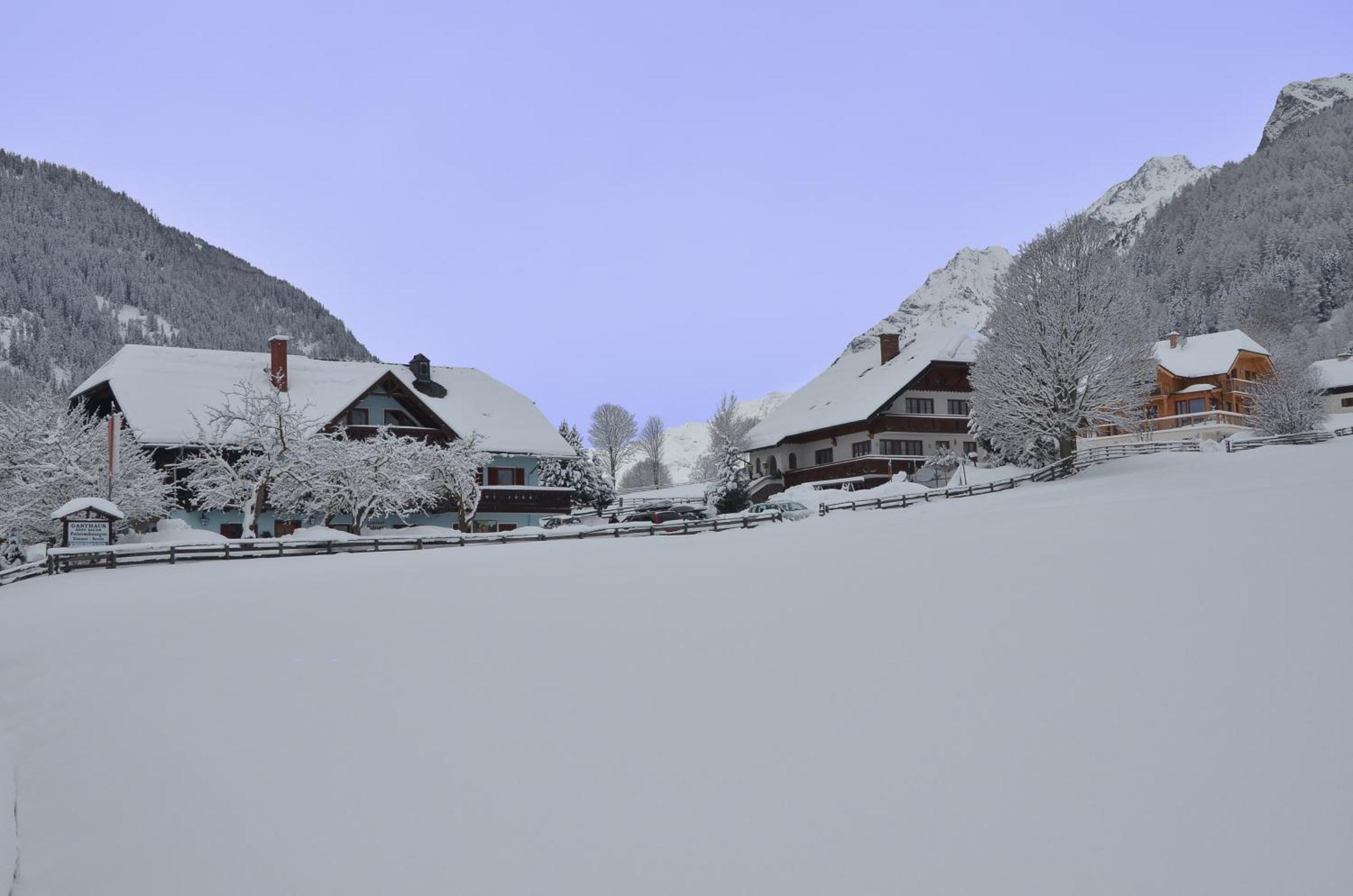 Landhotel - Apartments Bauer Hintergöriach Dış mekan fotoğraf